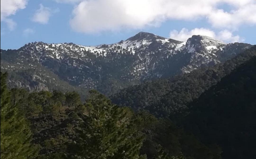 Casa Rural La Piedra Del Cambron Villaverde De Guadalimar Екстериор снимка