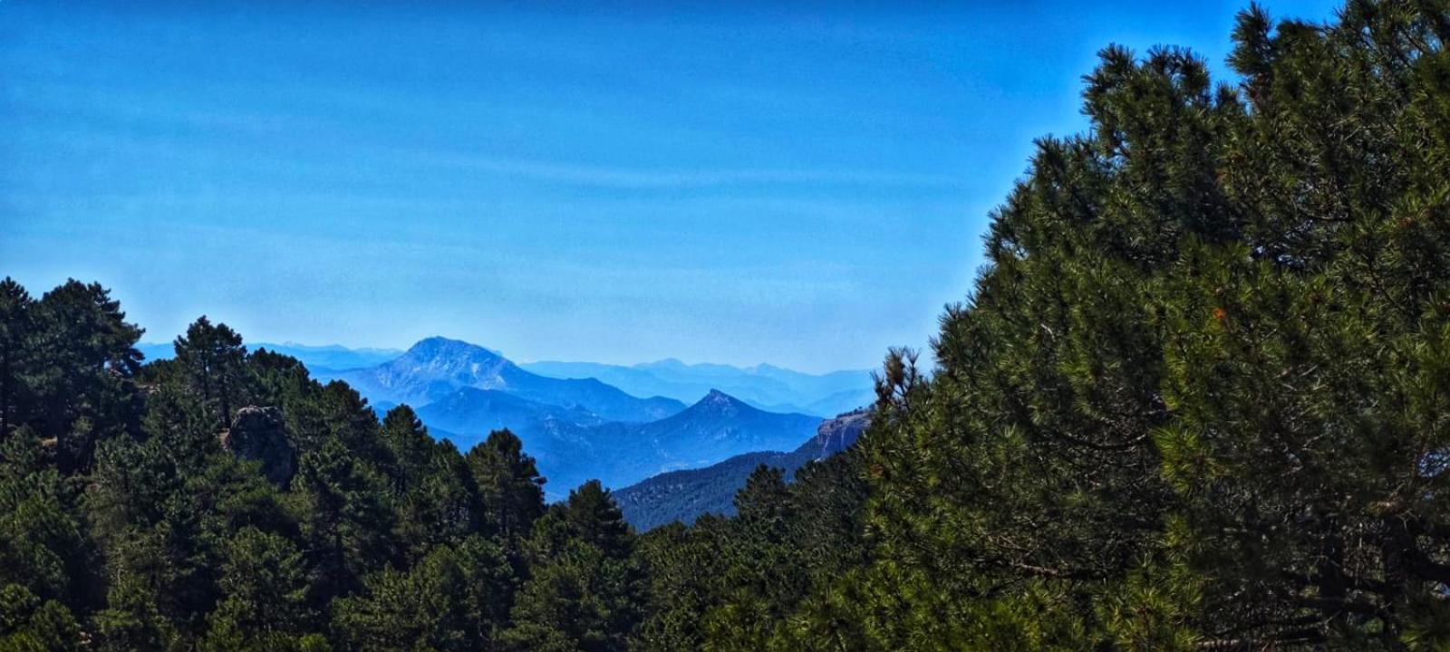 Casa Rural La Piedra Del Cambron Villaverde De Guadalimar Екстериор снимка