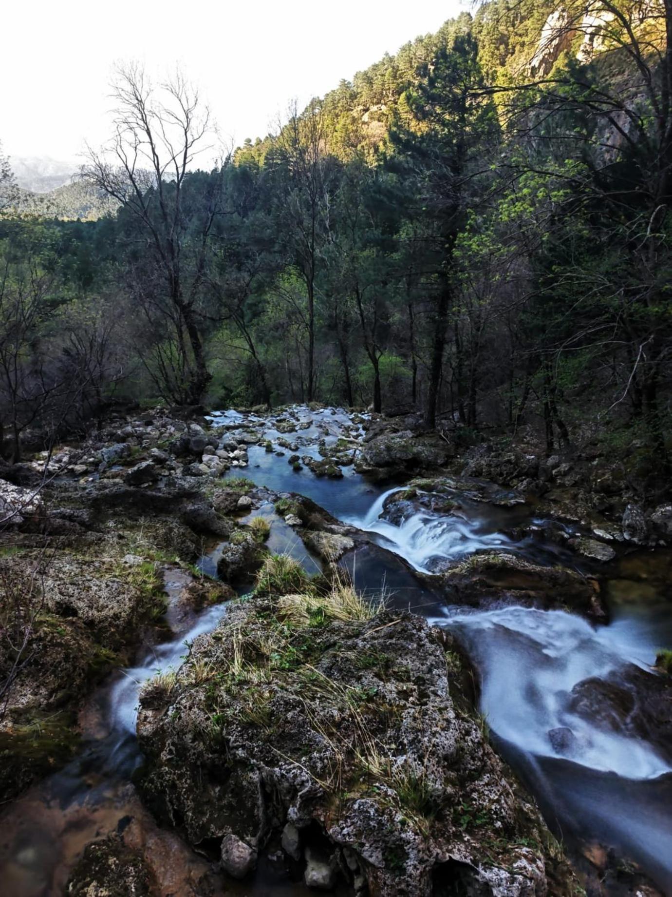 Casa Rural La Piedra Del Cambron Villaverde De Guadalimar Екстериор снимка